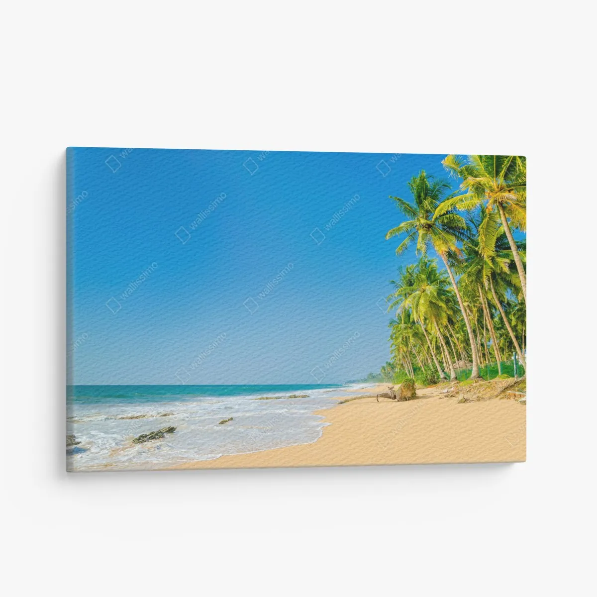 Leinwandbild tropischer palmenstrand – Wallnifity® Leinwandbild tropischer palmenstrand – Wallnifity®