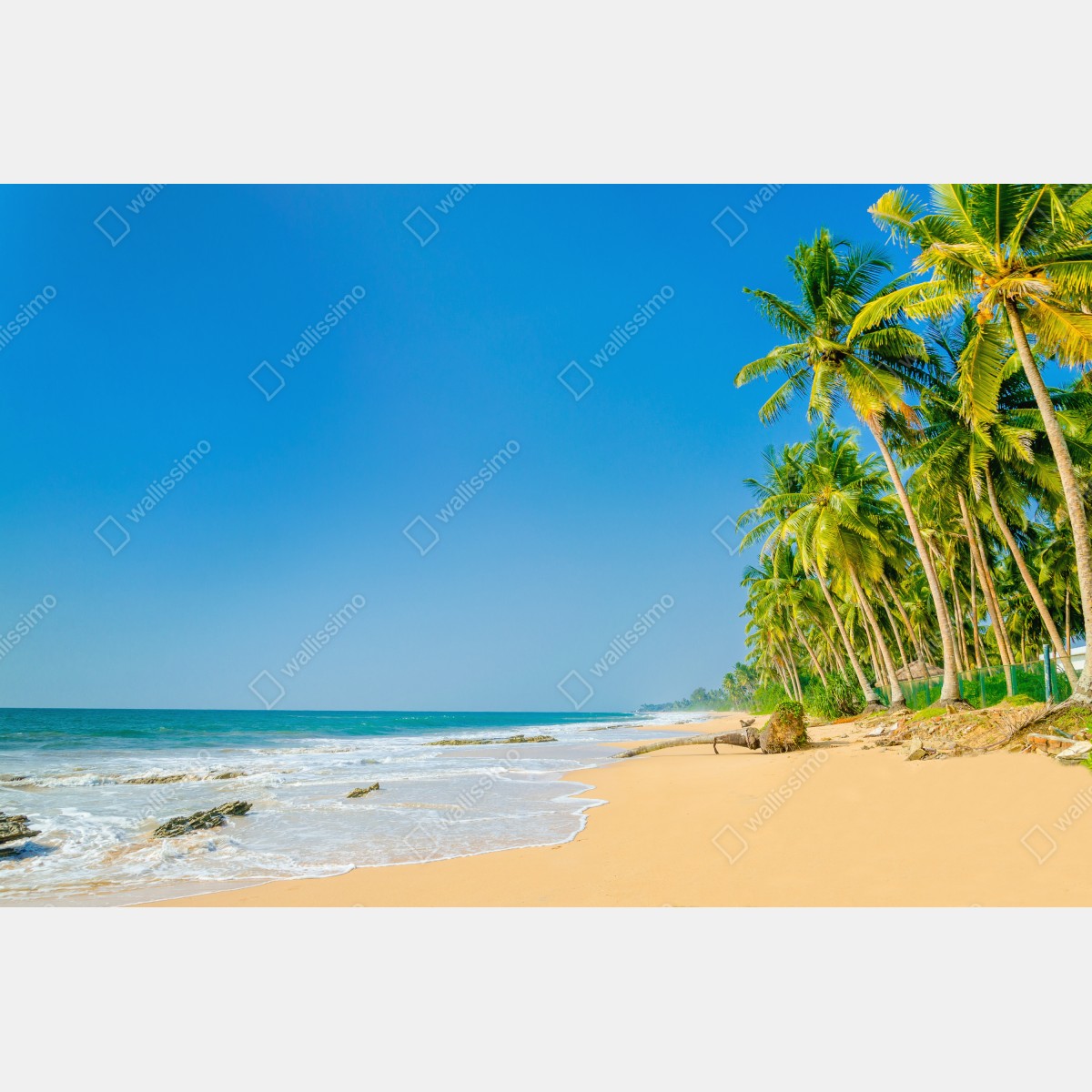 Leinwandbild tropischer palmenstrand – Wallnifity® Leinwandbild tropischer palmenstrand – Wallnifity®