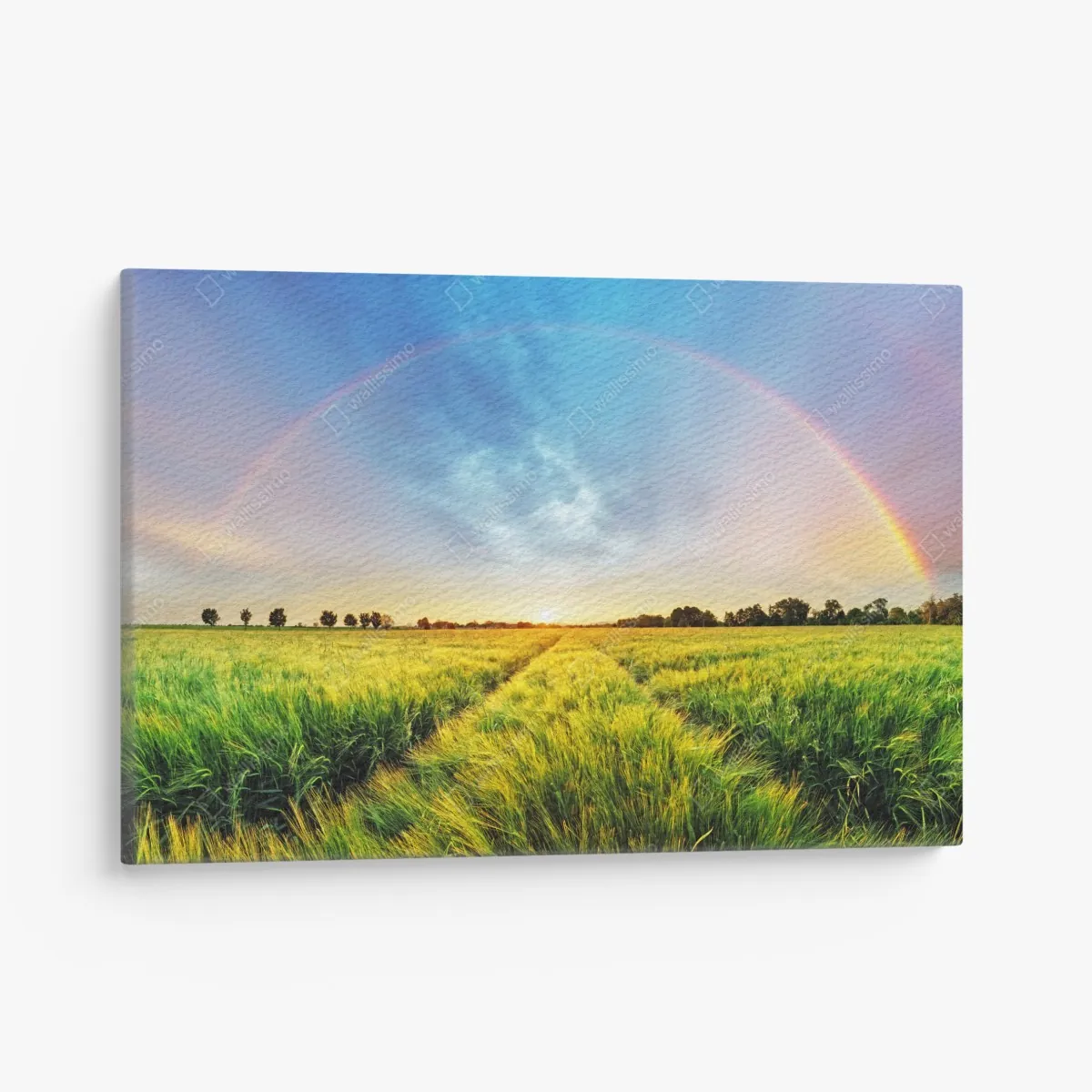 Leinwandbild regenbogen über goldenem weizenfeld bei sonnenuntergang – Wallnifity® Leinwandbild regenbogen über goldenem weizenfeld bei sonnenuntergang – Wallnifity®