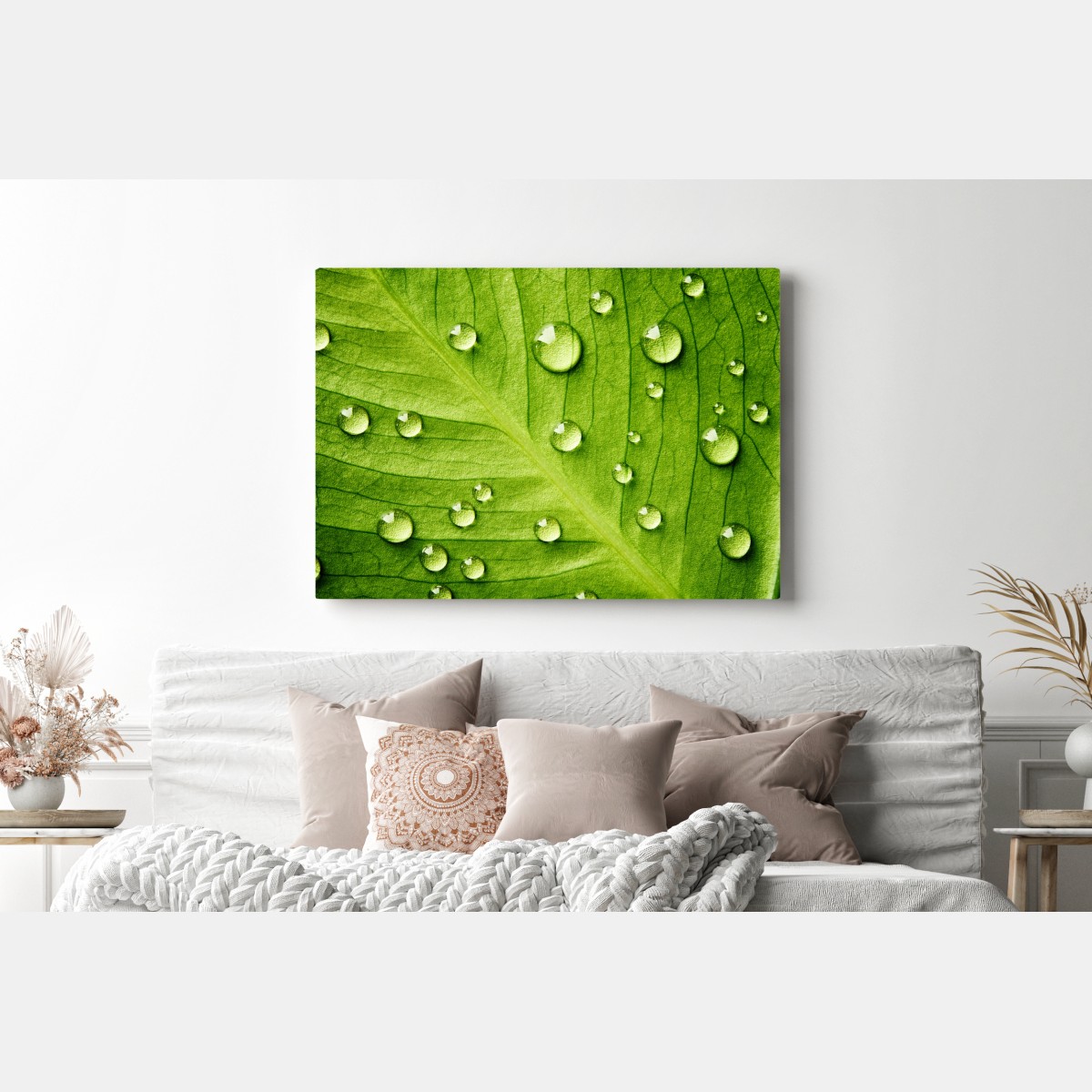 Leinwandbild frisches grünes blatt mit wassertropfen – Wallnifity® Leinwandbild frisches grünes blatt mit wassertropfen – Wallnifity®
