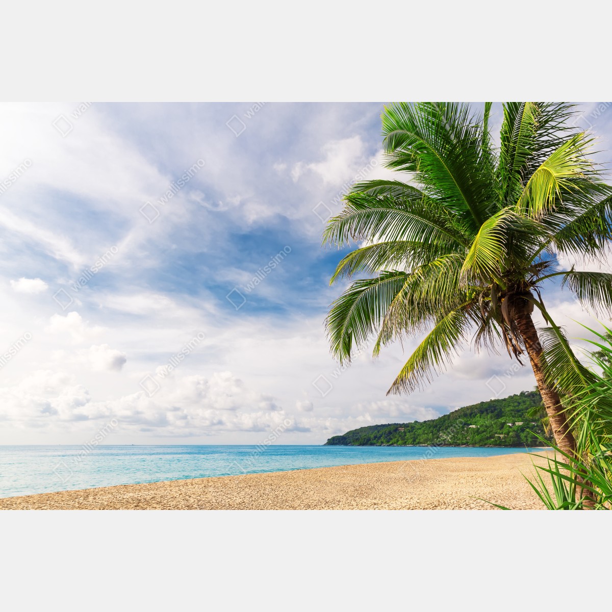 Leinwandbild tropischer strand in Phuket mit palme – Wallnifity® Leinwandbild tropischer strand in Phuket mit palme – Wallnifity®