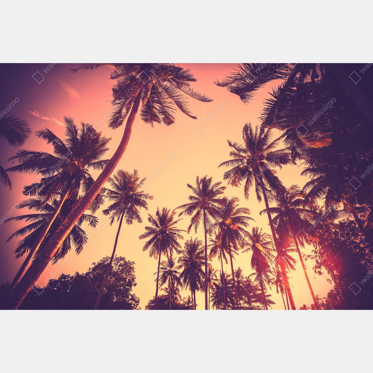 Leinwandbild vintage tropischer sonnenuntergang mit palmen – Wallnifity® Leinwandbild vintage tropischer sonnenuntergang mit palmen – Wallnifity®