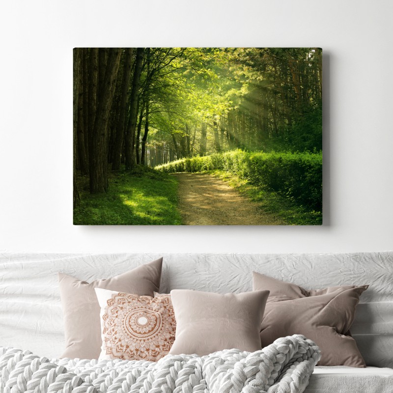 Leinwandbild sonnenbeschienener waldpfad im grünen – Wallnifity®