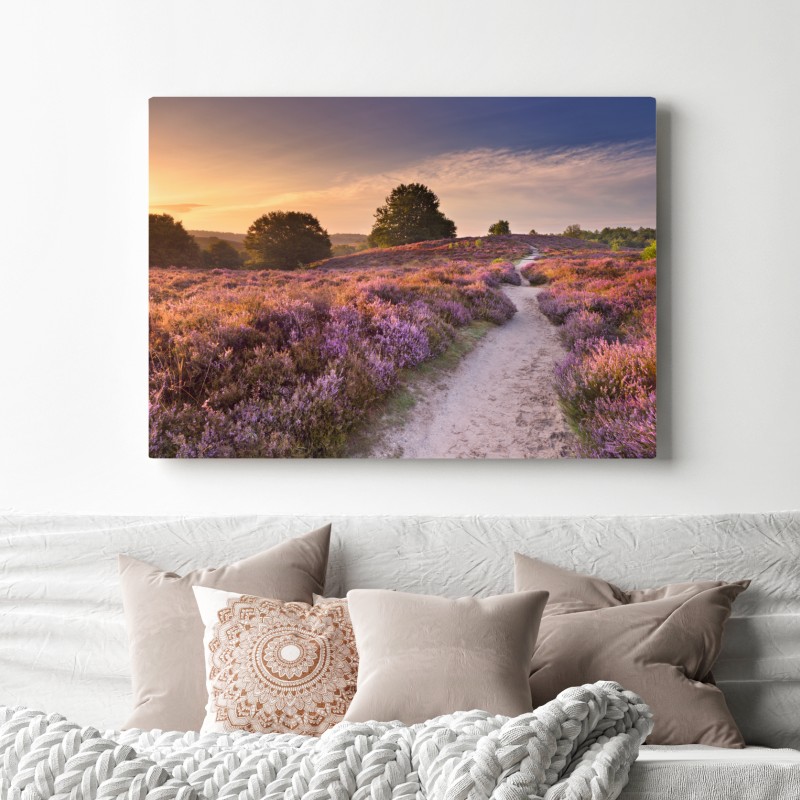 Leinwandbild Posbank bei sonnenaufgang über blühender heide – Wallnifity® Leinwandbild Posbank bei sonnenaufgang über blühender heide – Wallnifity®