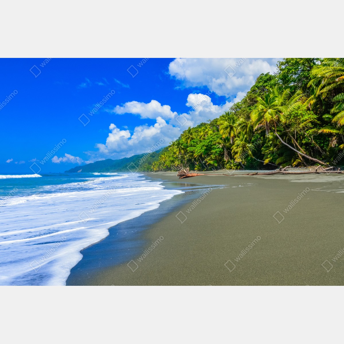 Leinwandbild wilder strand bei Corcovado, Costa Rica – Wallnifity® Leinwandbild wilder strand bei Corcovado, Costa Rica – Wallnifity®