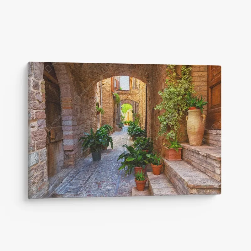 Leinwandbild geometrische makroaufnahme türkiser sukkulente – Wallnifity®