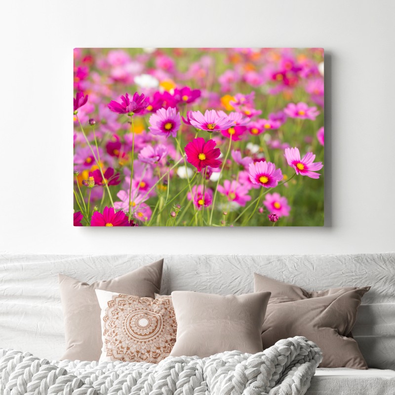 Leinwandbild rosa kosmeenwiese in blüte – Wallnifity® Leinwandbild rosa kosmeenwiese in blüte – Wallnifity®