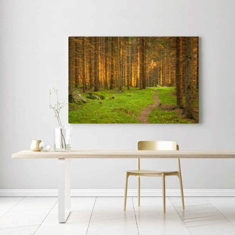 Leinwandbild goldenes licht im moosbedeckten kiefernwald – Wallnifity® Leinwandbild goldenes licht im moosbedeckten kiefernwald – Wallnifity®