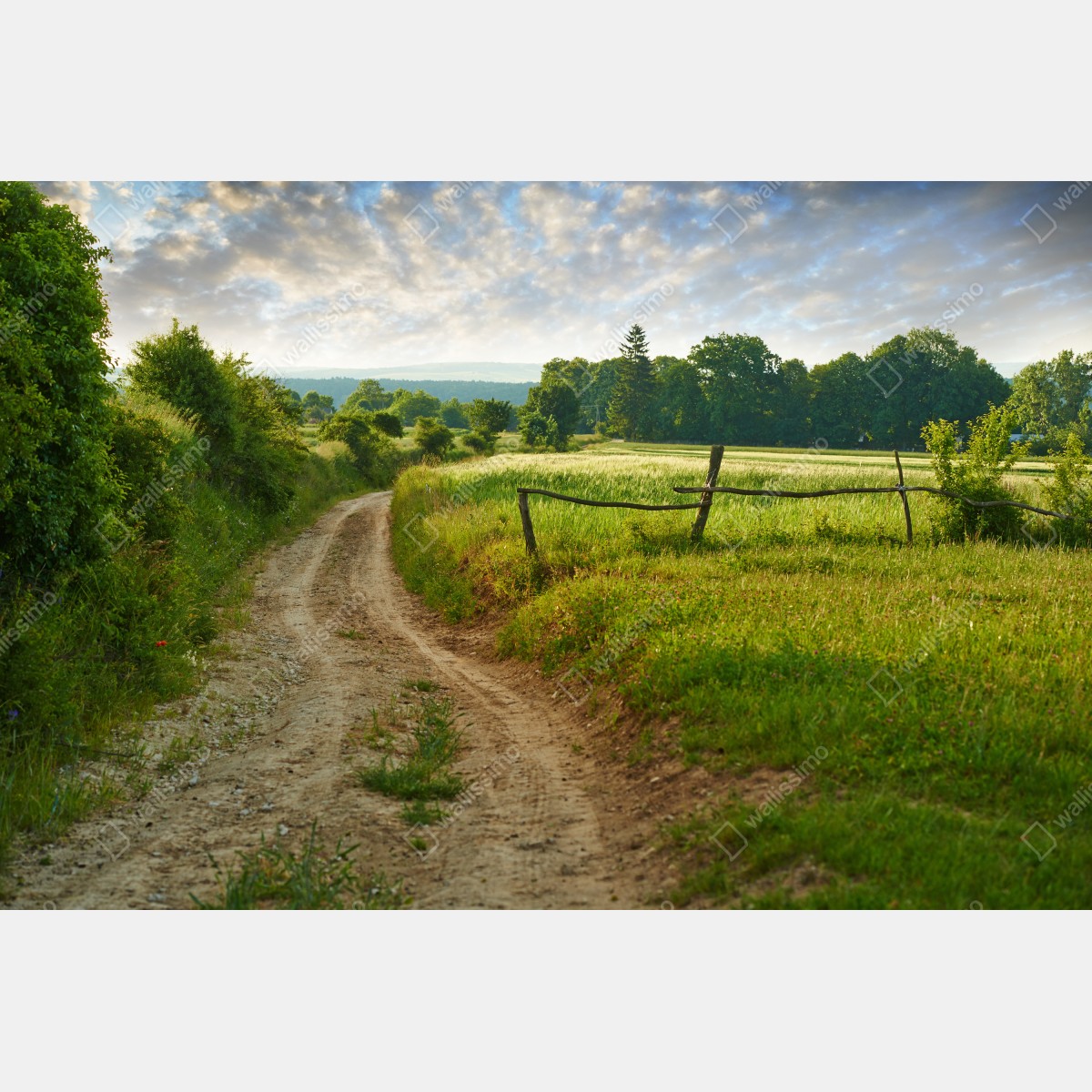 Leinwandbild sonniger landweg durch grüne wiesen – Wallnifity® Leinwandbild sonniger landweg durch grüne wiesen – Wallnifity®