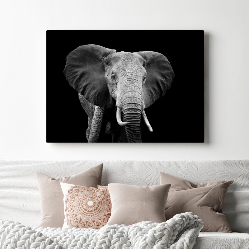 Leinwandbild majestätisches elefantenporträt in monochrom – Wallnifity® Leinwandbild majestätisches elefantenporträt in monochrom – Wallnifity®