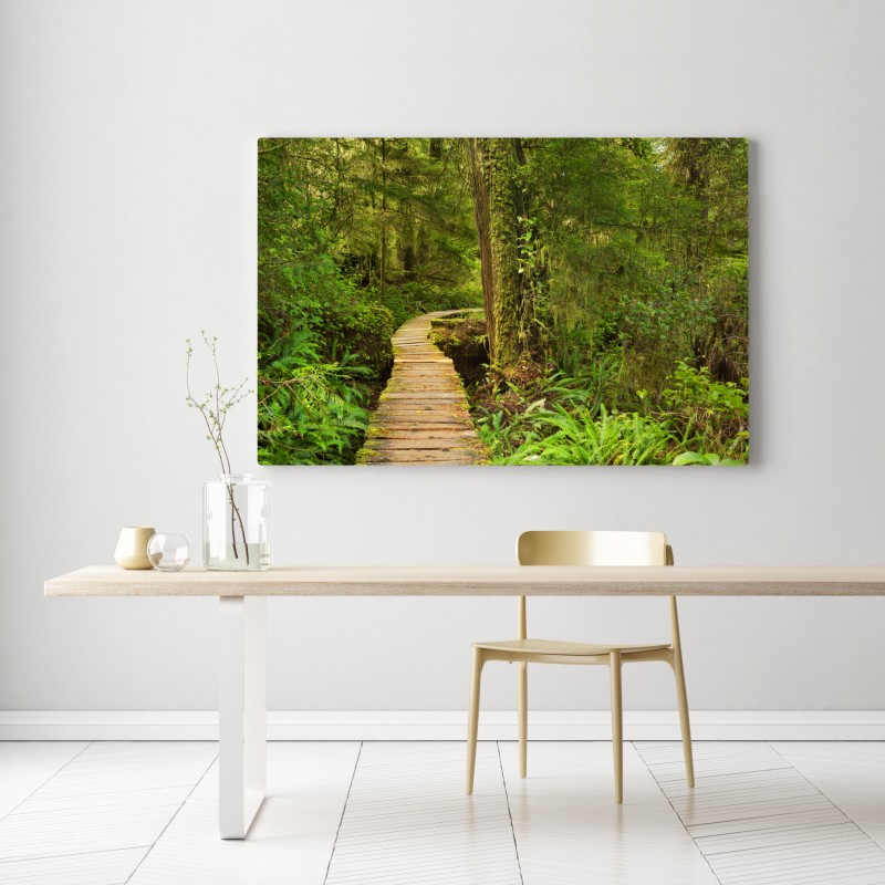 Leinwandbild steg im Pacific Rim regenwald – Wallnifity® Leinwandbild steg im Pacific Rim regenwald – Wallnifity®