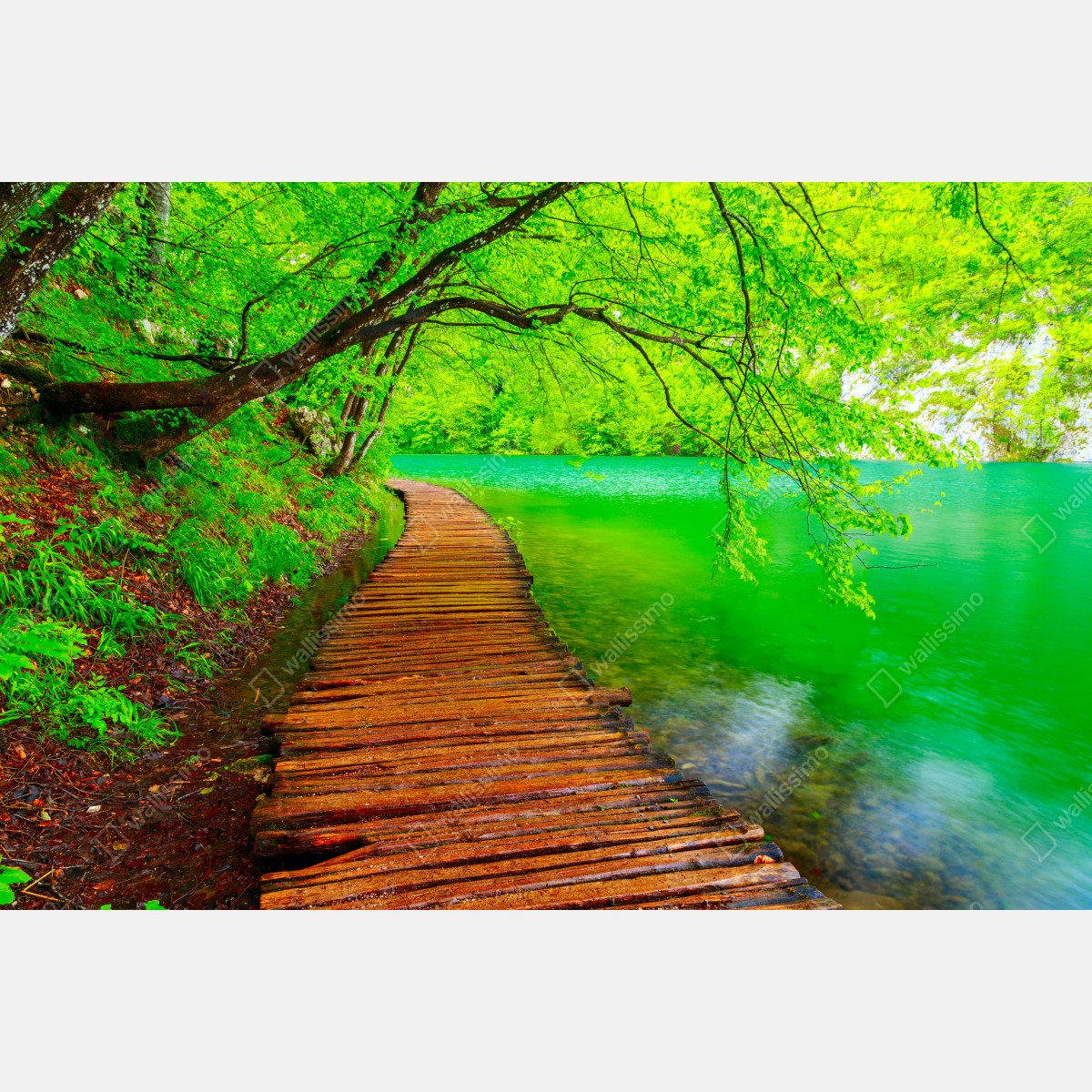 Leinwandbild ruhiger grüner steg am see – Wallnifity® Leinwandbild ruhiger grüner steg am see – Wallnifity®