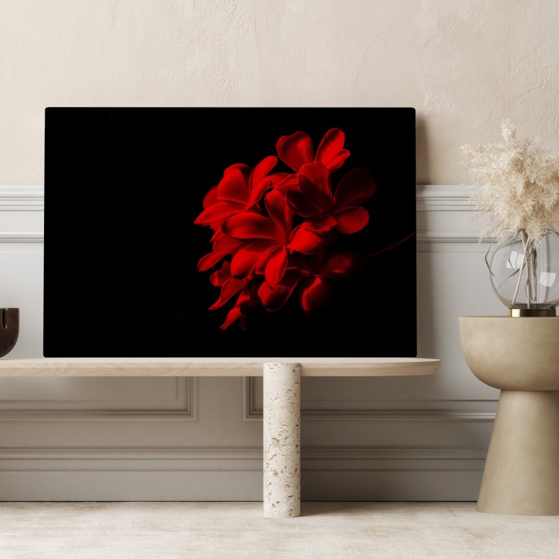 Leinwandbild rote plumeria auf schwarzem hintergrund – Wallnifity® Leinwandbild rote plumeria auf schwarzem hintergrund – Wallnifity®