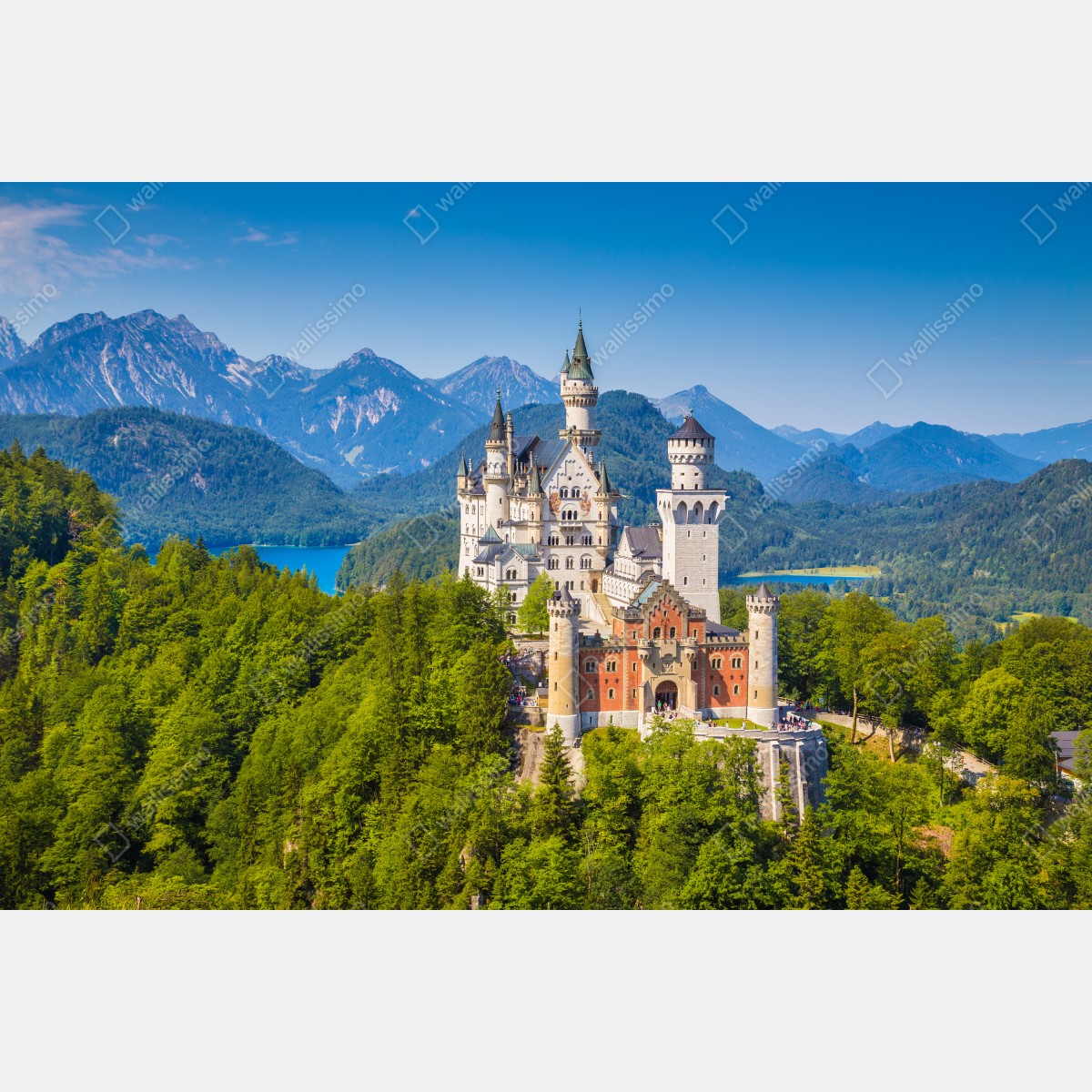 Leinwandbild schloss Neuschwanstein in alpiner landschaft – Wallnifity® Leinwandbild schloss Neuschwanstein in alpiner landschaft – Wallnifity®