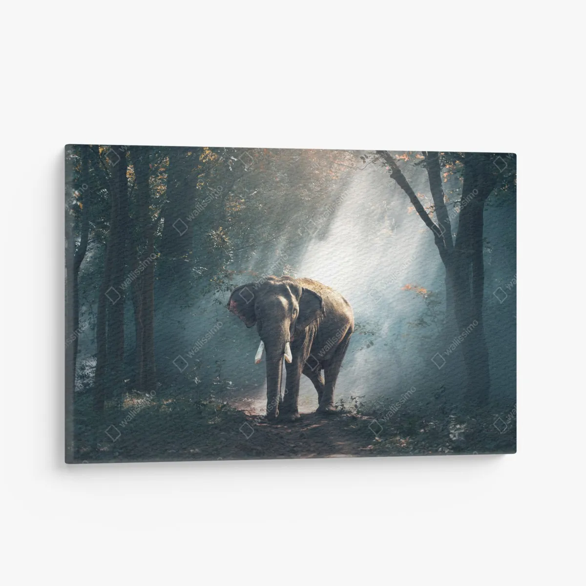 Leinwandbild majestätischer elefant im sonnenlichtdurchfluteten wald – Wallnifity® Leinwandbild majestätischer elefant im sonnenlichtdurchfluteten wald – Wallnifity®