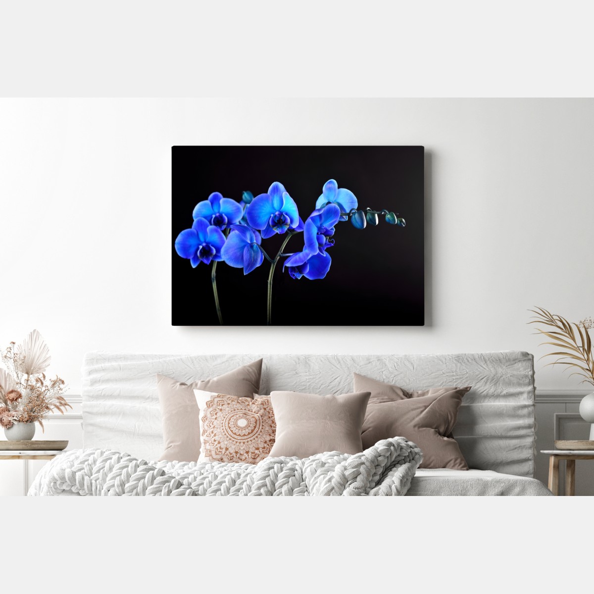 Leinwandbild leuchtende blaue orchidee vor schwarzem hintergrund – Wallnifity® Leinwandbild leuchtende blaue orchidee vor schwarzem hintergrund – Wallnifity®