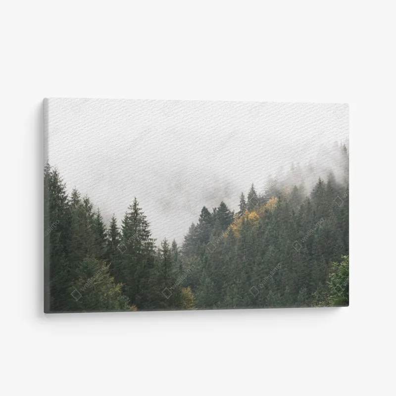 Leinwandbild nebeliger mamutbaumwald im goldenen vintagelicht – Wallnifity®