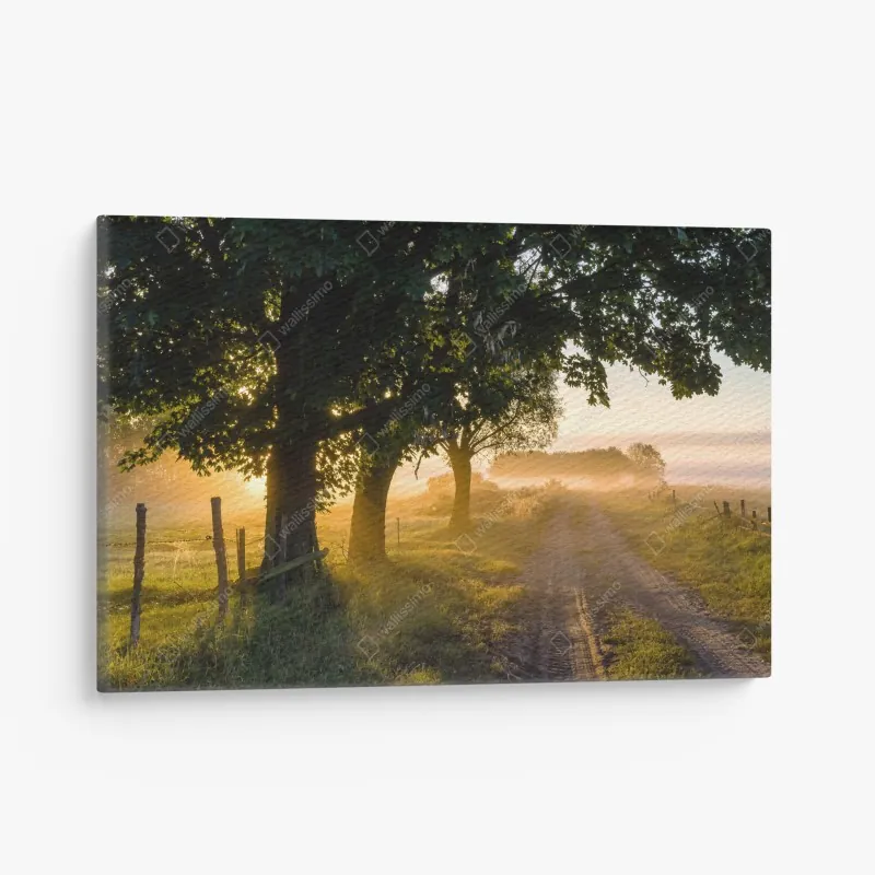 Leinwandbild tropischer strand in Phuket mit palme – Wallnifity®