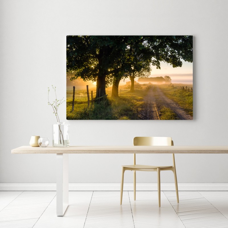 Leinwandbild sonnenbeschienener landweg im morgendunst – Wallnifity® Leinwandbild sonnenbeschienener landweg im morgendunst – Wallnifity®
