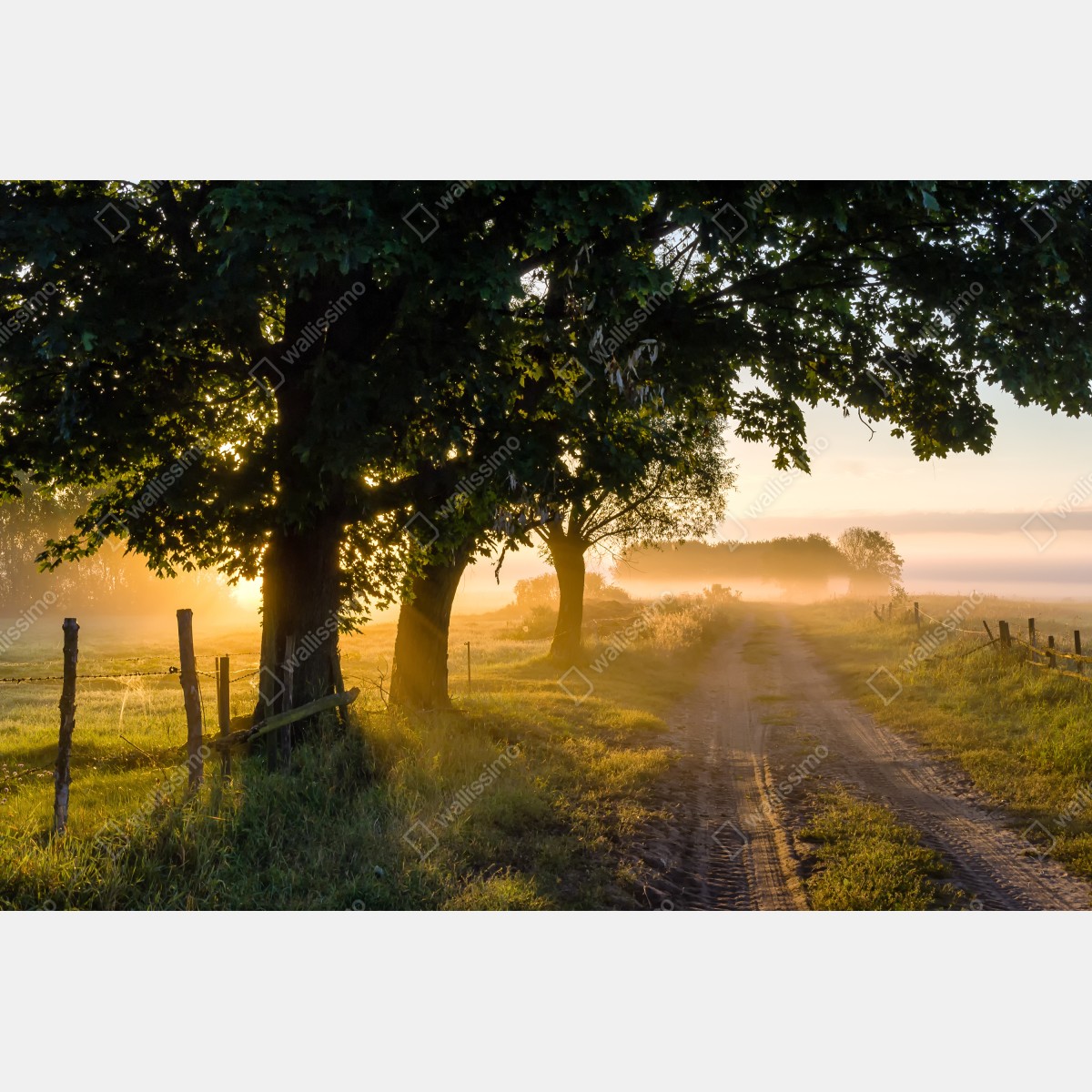 Leinwandbild sonnenbeschienener landweg im morgendunst – Wallnifity® Leinwandbild sonnenbeschienener landweg im morgendunst – Wallnifity®