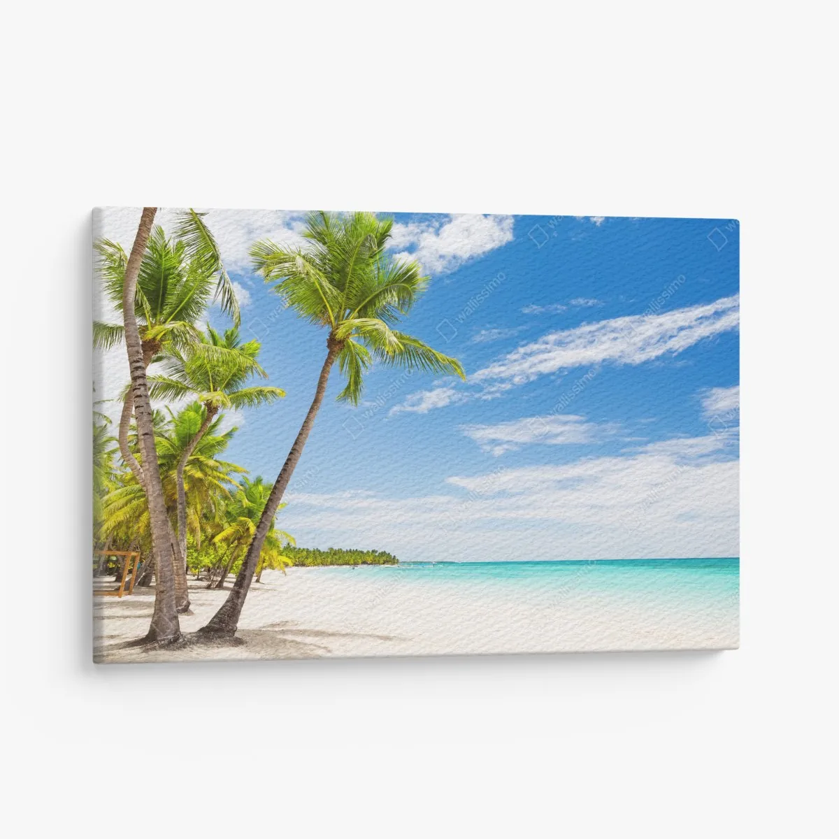 Leinwandbild palmenstrand in Punta Cana – Wallnifity® Leinwandbild palmenstrand in Punta Cana – Wallnifity®