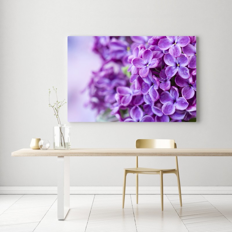 Leinwandbild lila fliederblüten nahaufnahme – Wallnifity® Leinwandbild lila fliederblüten nahaufnahme – Wallnifity®