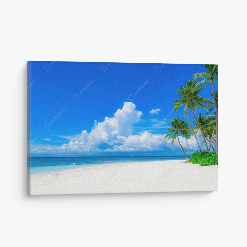 Leinwandbild moosiger alter waldpfad – Wallnifity®