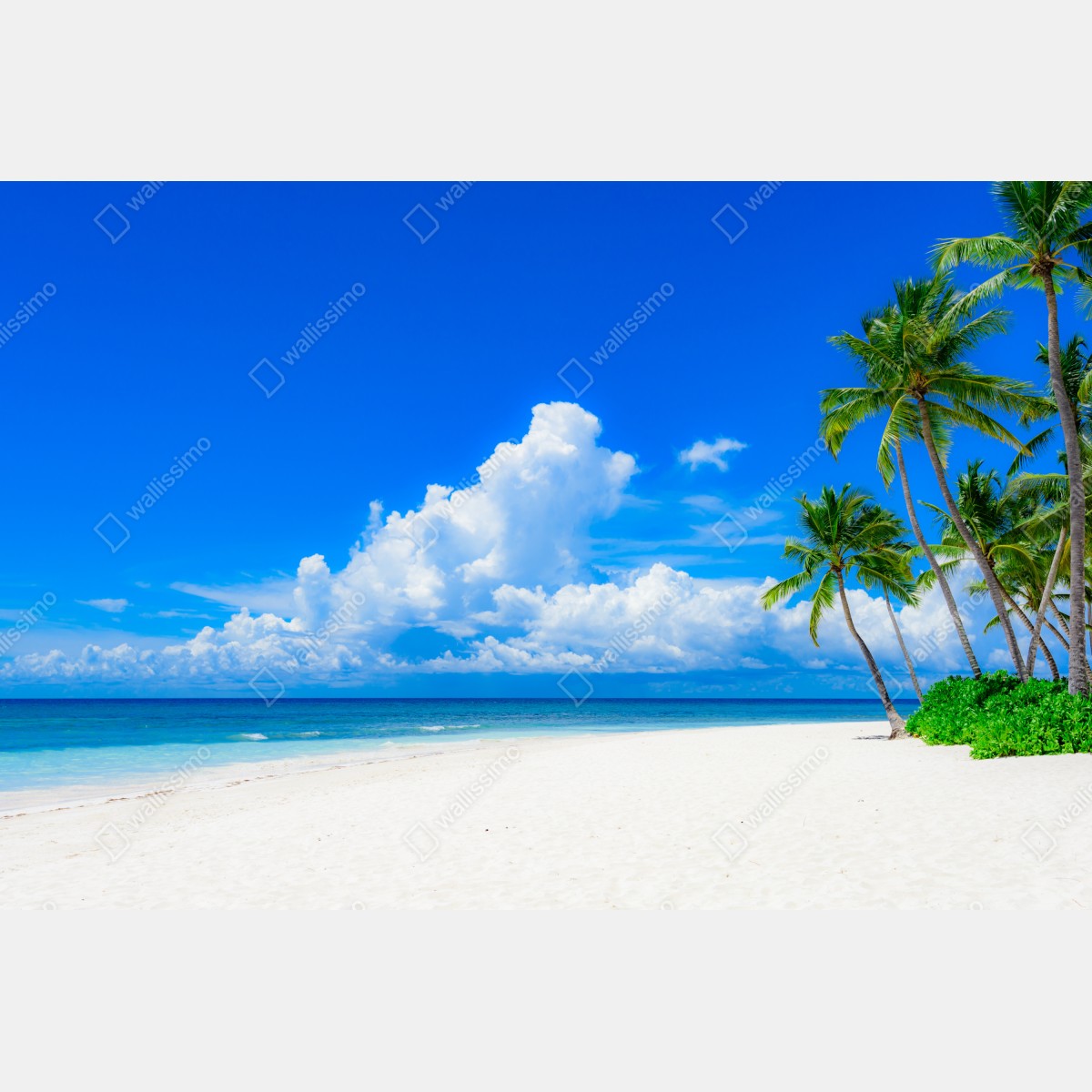 Leinwandbild tropischer palmenstrand unter blauem himmel – Wallnifity® Leinwandbild tropischer palmenstrand unter blauem himmel – Wallnifity®