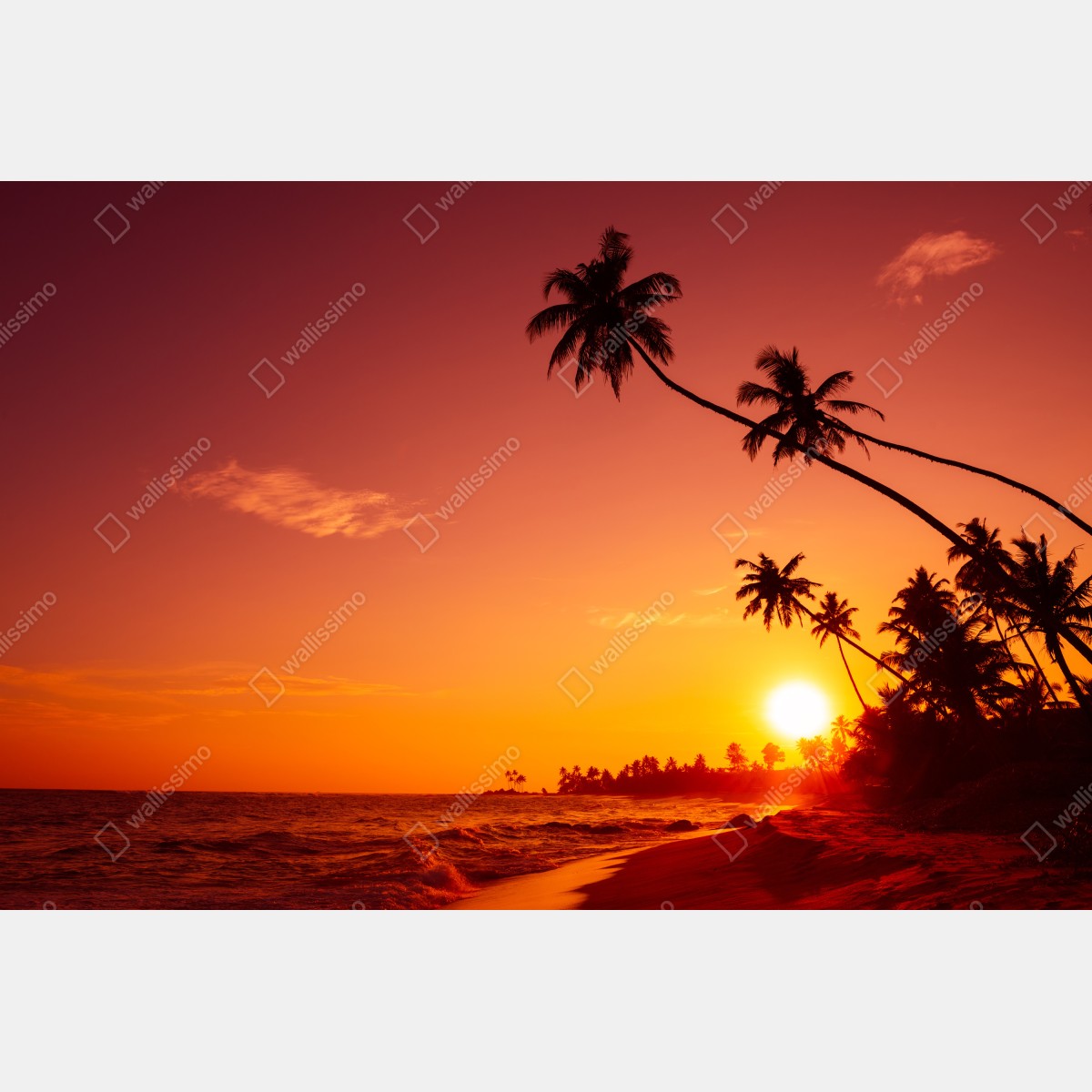 Leinwandbild tropischer sonnenuntergang am strand – Wallnifity® Leinwandbild tropischer sonnenuntergang am strand – Wallnifity®