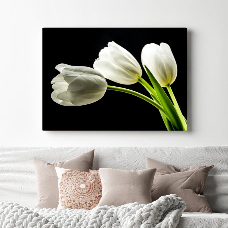 Leinwandbild elegante weiße tulpen vor schwarzem hintergrund – Wallnifity®