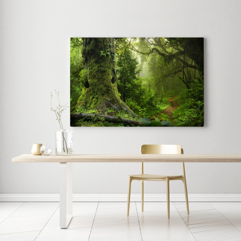 Leinwandbild moosiger alter waldpfad – Wallnifity®