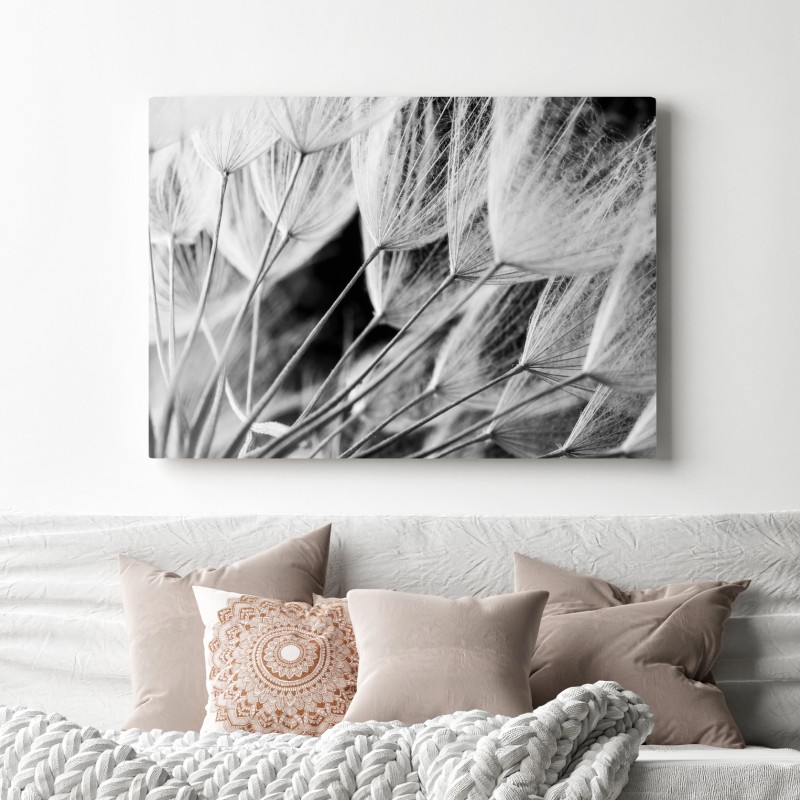 Leinwandbild zarte nahaufnahme von löwenzahnsamen in monochrom – Wallnifity®