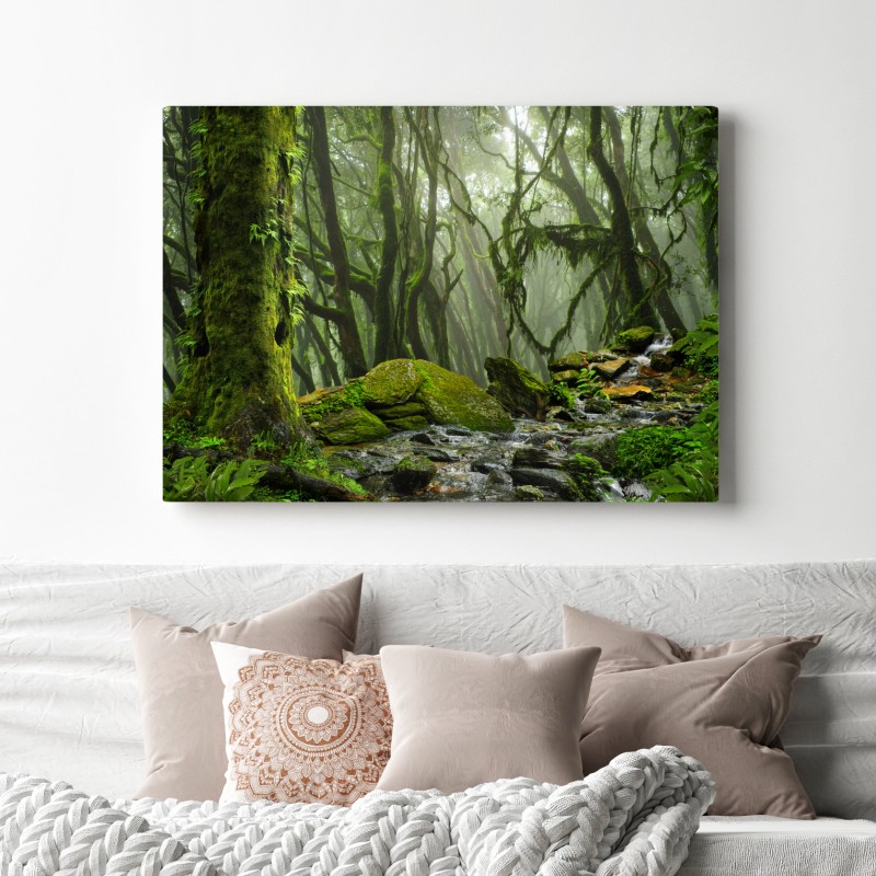 Leinwandbild moosiger wald mit bach im nebel – Wallnifity®