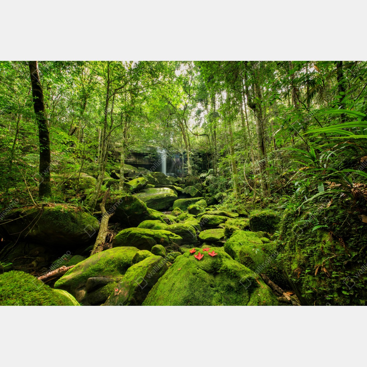 Leinwandbild üppiger moosbewachsener wasserfall im tropischen wald – Wallnifity® Leinwandbild üppiger moosbewachsener wasserfall im tropischen wald – Wallnifity®