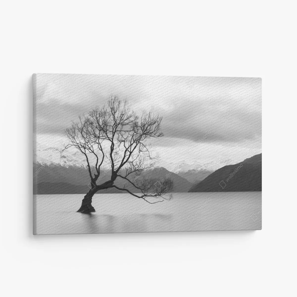 Leinwandbild einsamer baum im see in schwarzweiß – Wallnifity® Leinwandbild einsamer baum im see in schwarzweiß – Wallnifity®