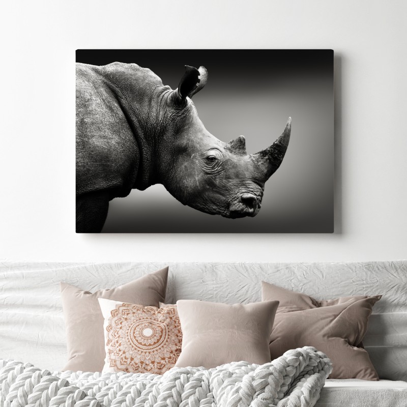 Leinwandbild majestätisches nashornporträt – Wallnifity® Leinwandbild majestätisches nashornporträt – Wallnifity®