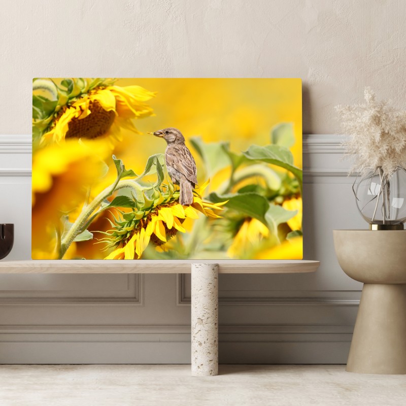 Leinwandbild spatz auf einer sonnenblume – Wallnifity® Leinwandbild spatz auf einer sonnenblume – Wallnifity®