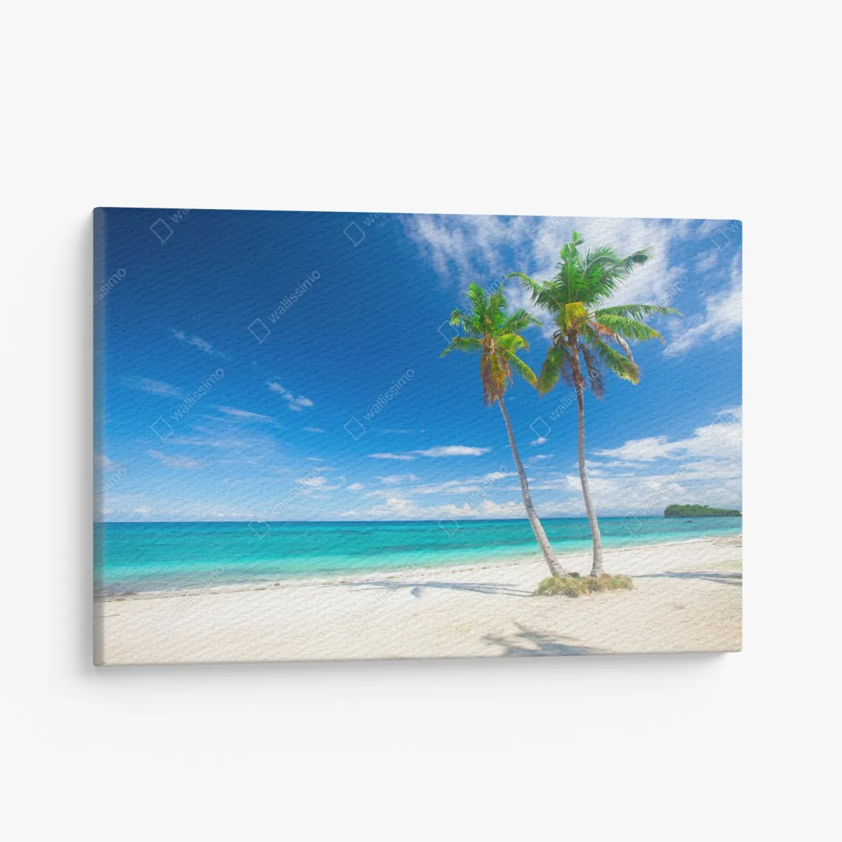 Leinwandbild tropische palmen an einem türkisfarbenen strand – Wallnifity® Leinwandbild tropische palmen an einem türkisfarbenen strand – Wallnifity®