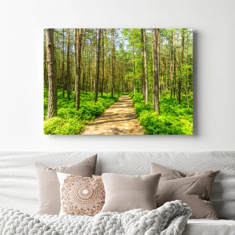 Leinwandbild sonniger waldweg zwischen kiefern – Wallnifity® Leinwandbild sonniger waldweg zwischen kiefern – Wallnifity®