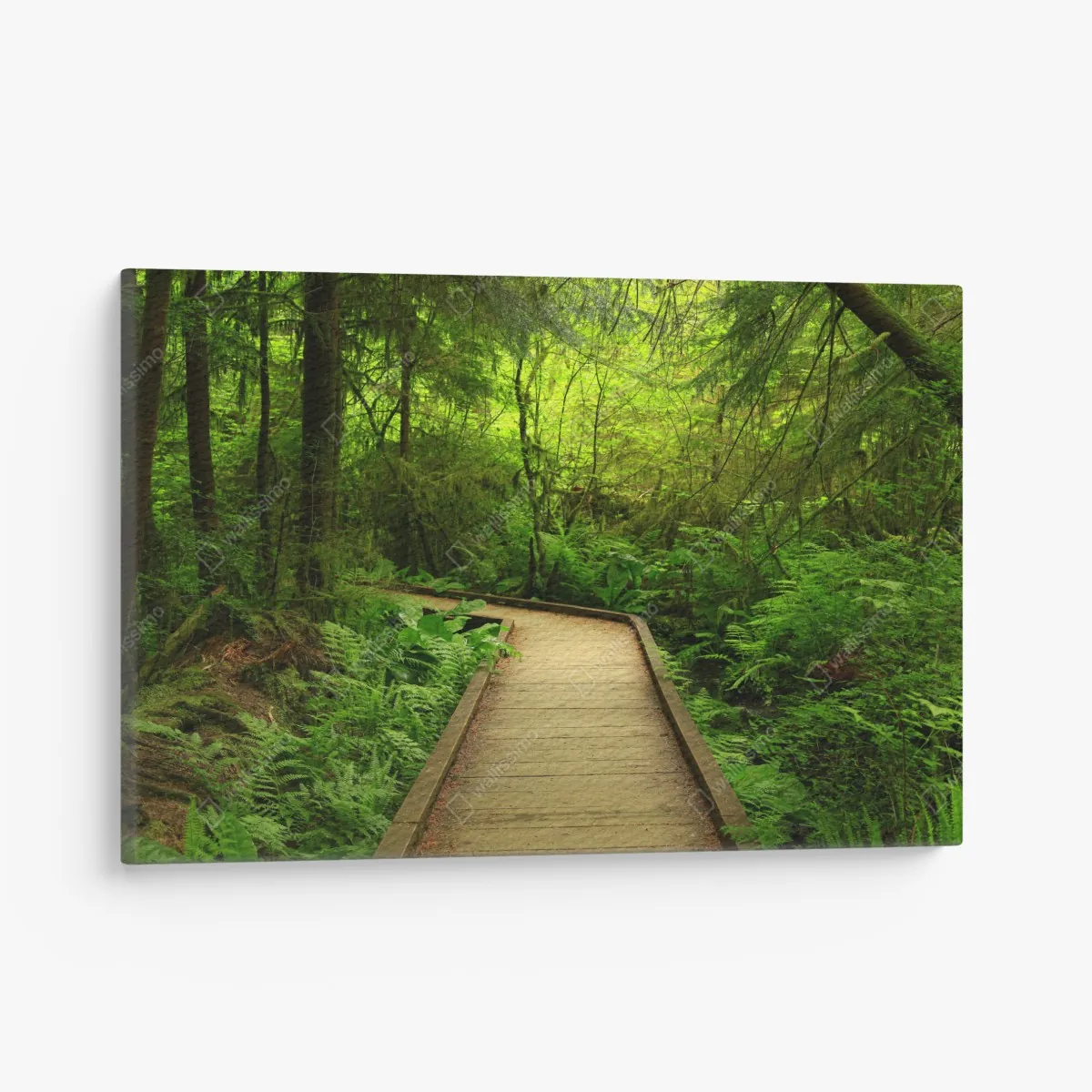 Leinwandbild ruhiger grüner waldsteg – Wallnifity® Leinwandbild ruhiger grüner waldsteg – Wallnifity®