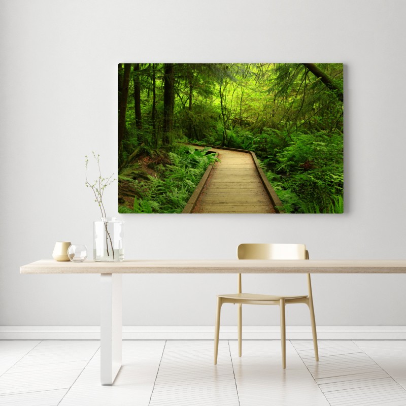 Leinwandbild ruhiger grüner waldsteg – Wallnifity® Leinwandbild ruhiger grüner waldsteg – Wallnifity®