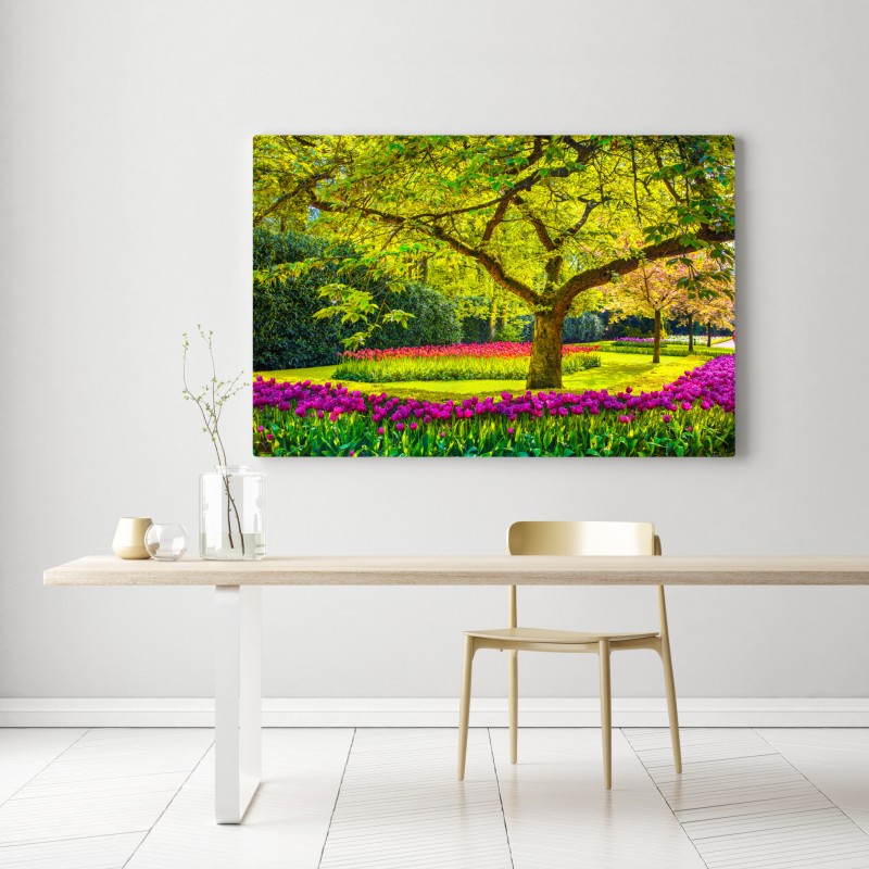 Leinwandbild bunter tulpengarten in Keukenhof – Wallnifity® Leinwandbild bunter tulpengarten in Keukenhof – Wallnifity®