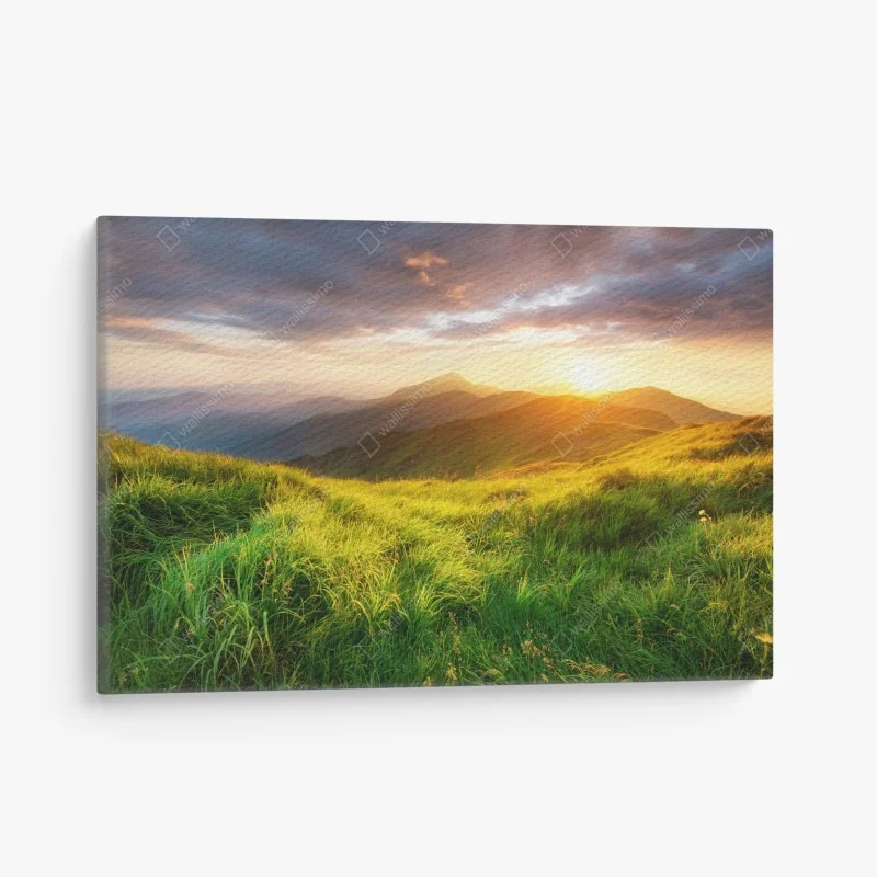 Leinwandbild nebliger immergrüner wald panorama – Wallnifity®