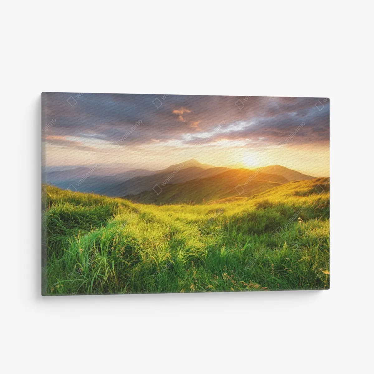 Leinwandbild sonnige bergwiese bei sonnenaufgang – Wallnifity® Leinwandbild sonnige bergwiese bei sonnenaufgang – Wallnifity®