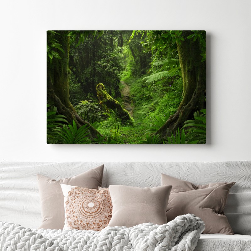 Leinwandbild verzauberter moosiger waldpfad – Wallnifity® Leinwandbild verzauberter moosiger waldpfad – Wallnifity®