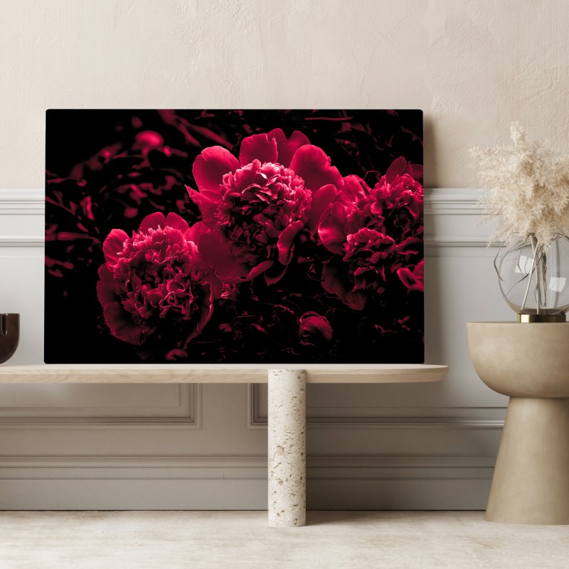 Leinwandbild stimmungsvolle rosa pfingstrosen – Wallnifity®