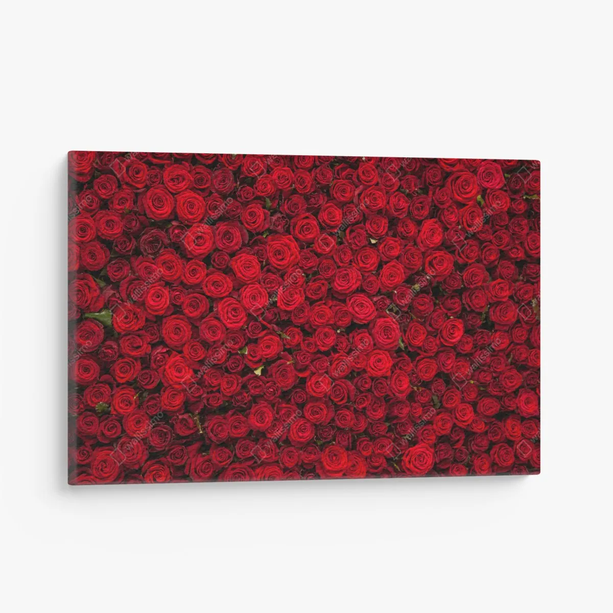 Leinwandbild endlose wand aus roten rosen – Wallnifity® Leinwandbild endlose wand aus roten rosen – Wallnifity®