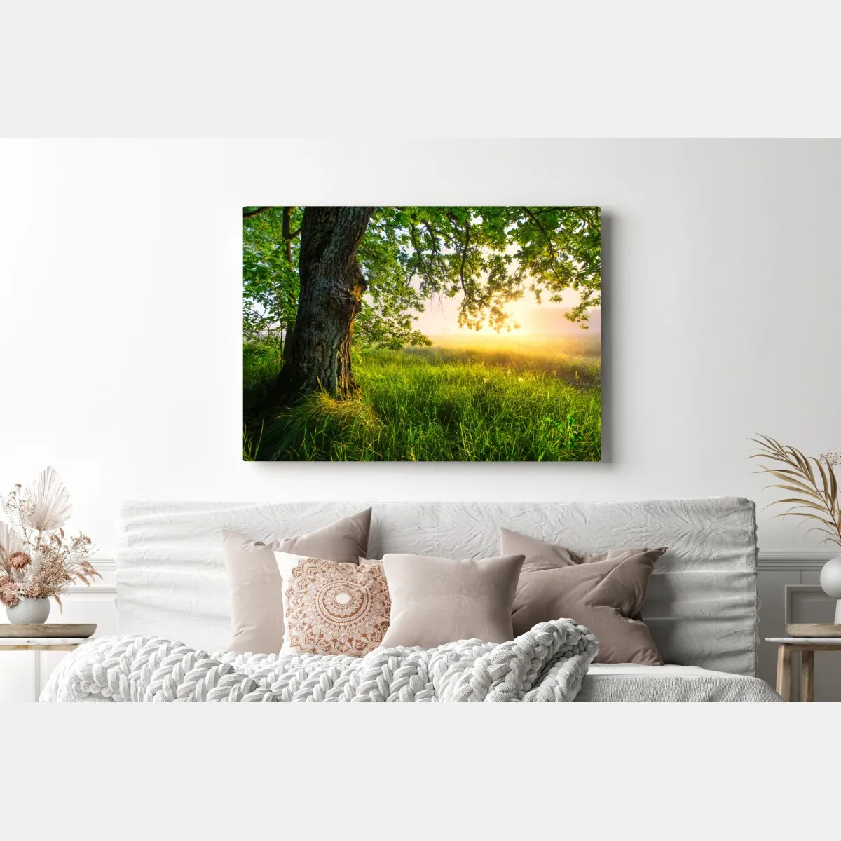 Leinwandbild morgendliche eiche auf sonnenbeschienener wiese – Wallnifity® Leinwandbild morgendliche eiche auf sonnenbeschienener wiese – Wallnifity®