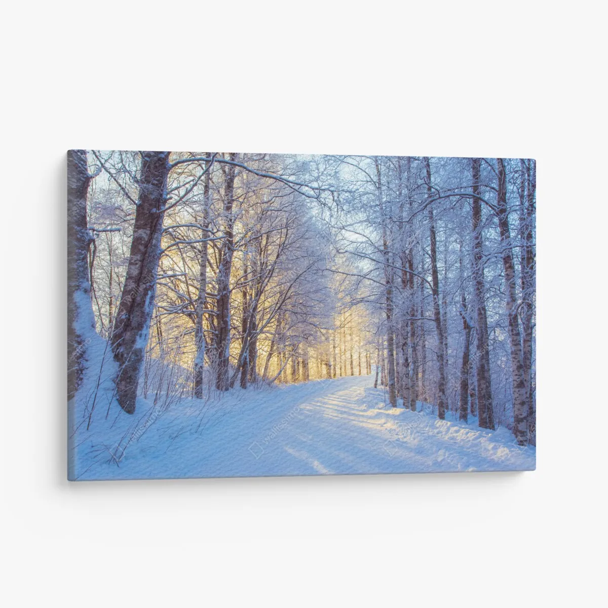 Leinwandbild birkenwald im winter bei sonnenaufgang – Wallnifity® Leinwandbild birkenwald im winter bei sonnenaufgang – Wallnifity®