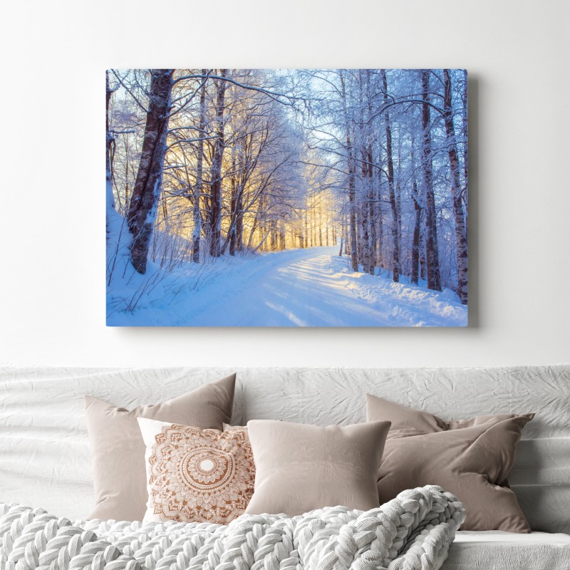 Leinwandbild birkenwald im winter bei sonnenaufgang – Wallnifity® Leinwandbild birkenwald im winter bei sonnenaufgang – Wallnifity®